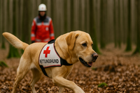 [Translate to Deutsch, leichte Sprache:] 